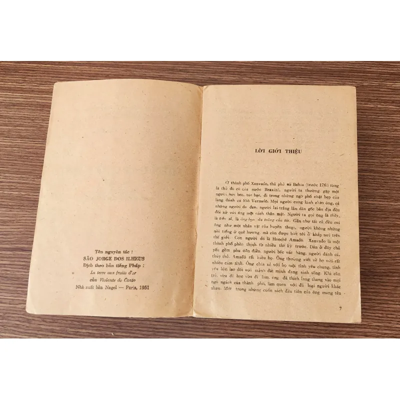 Tiểu thuyết Brazil MIỀN ĐẤT QUẢ VÀNG (Jorge Amado) - 540 trang 776261