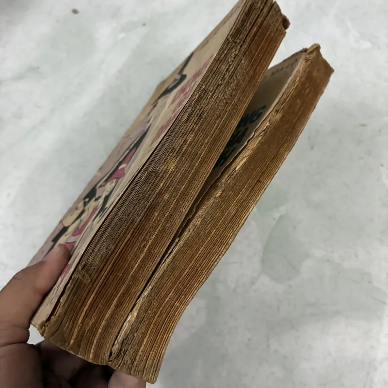 Không gia đình (Bộ 2 tập) 1029720