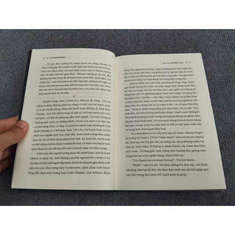 TÂM TƯ CỦA BẠCH TUỘC 990666