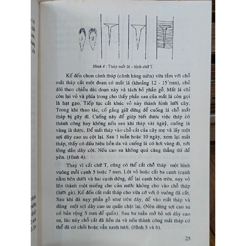 Trồng và chăm sóc hoa kiểng - Lê Xuân Vinh, Bùi Văn Mãnh, Phạm Tạo 975201