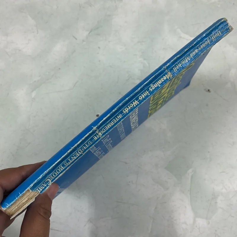 Meaning into Words 990770