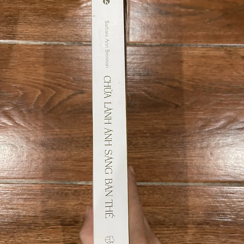 Chữa Lành Ánh Sáng Bản Thể - Barbara Ann Brennan (6) 736181