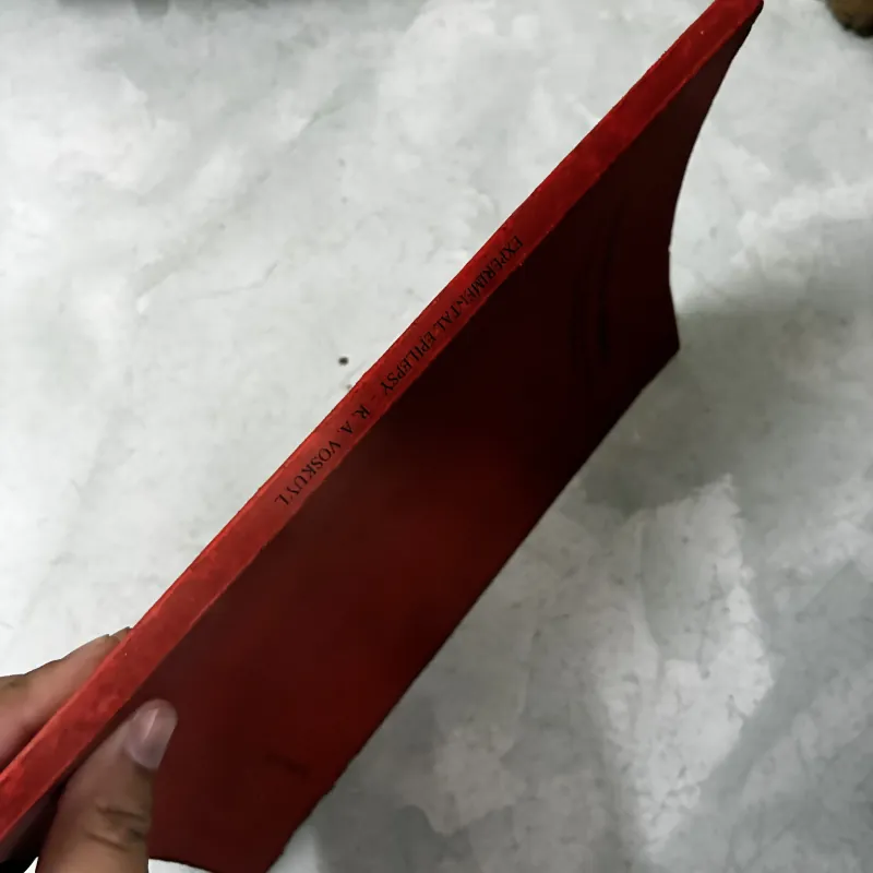 Động kinh thực nghiệm 1040807