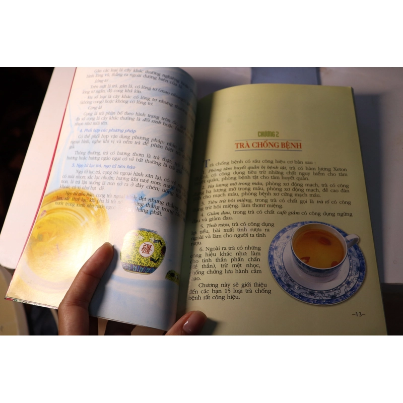 Trà sức khoẻ dưỡng sinh 2010, Hải Lăng 477377