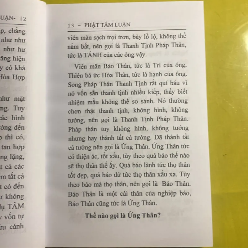 Phật Tâm Luận - HT Thiền Sư Phước Hảo 630637