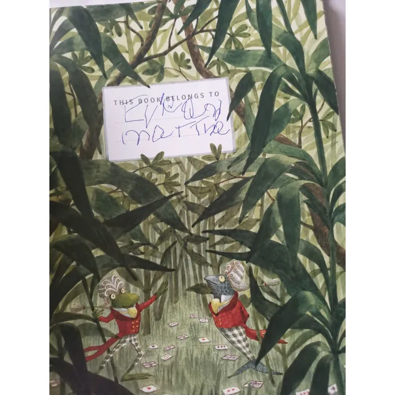 Alice in Wonderland 1002067