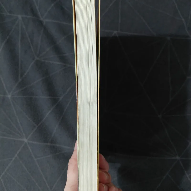 "Central Park" - Guillaumo Musso 976868