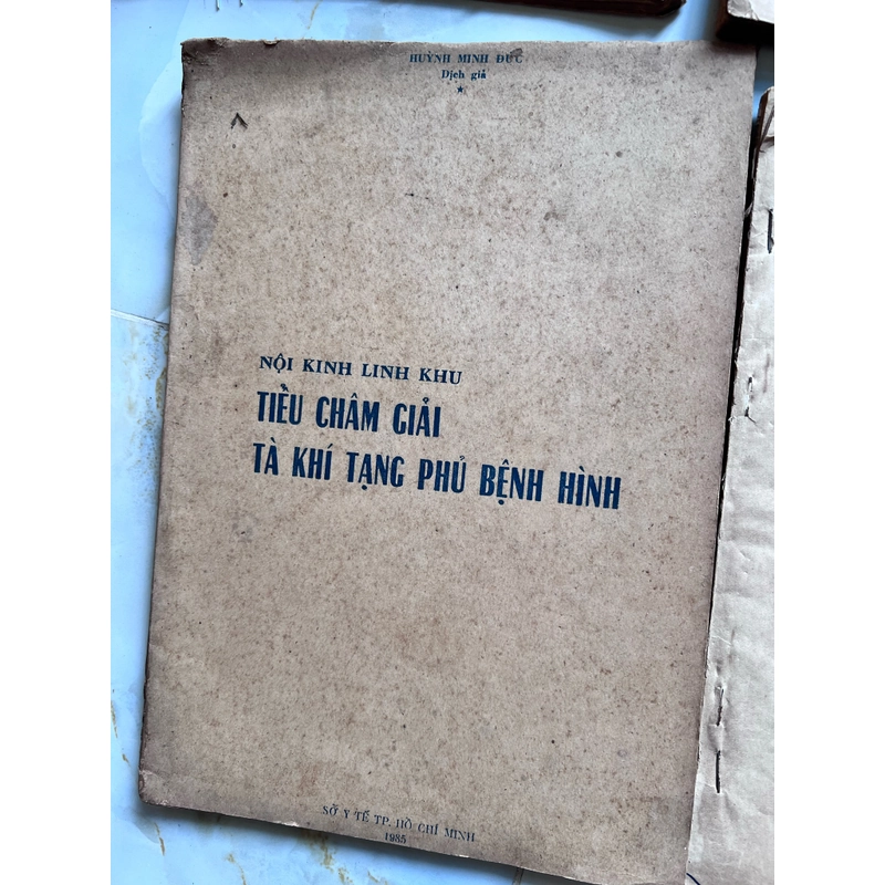 Nội kinh linh khu - Huỳnh Minh Đức 532332