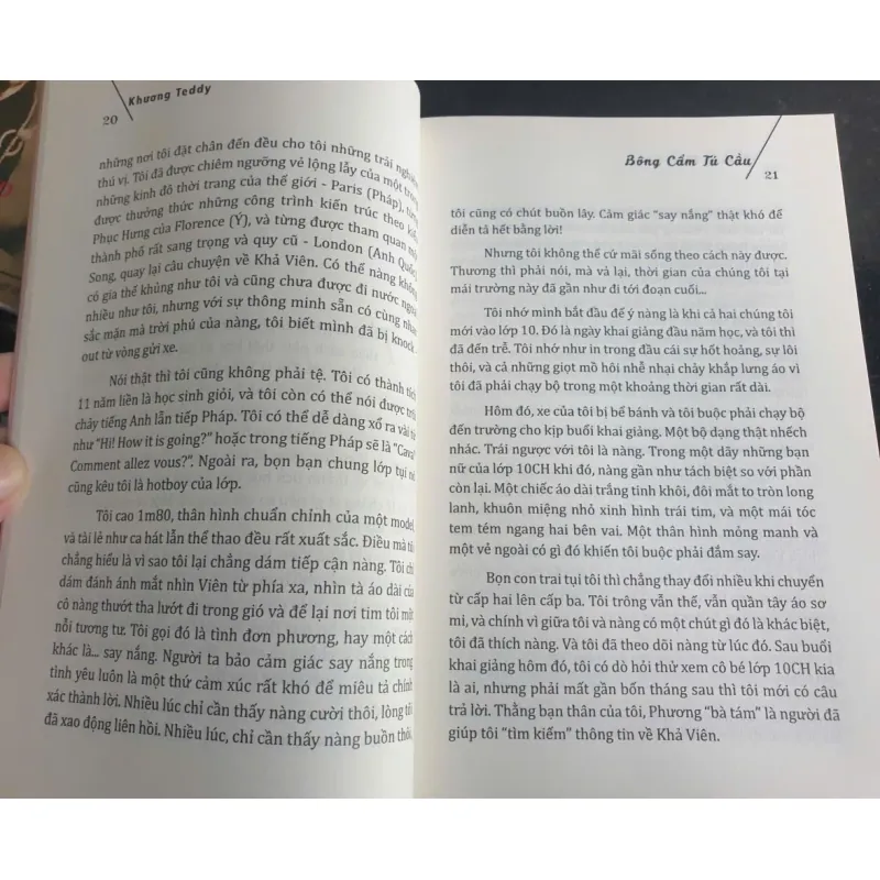 Bông Cẩm Tú Cầu - Khương Teddy 707823