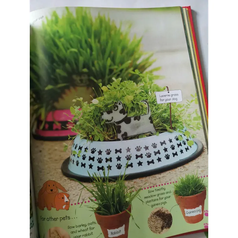 Ready, Steady, Grow! Quick and Easy Gardening Projects 1002061