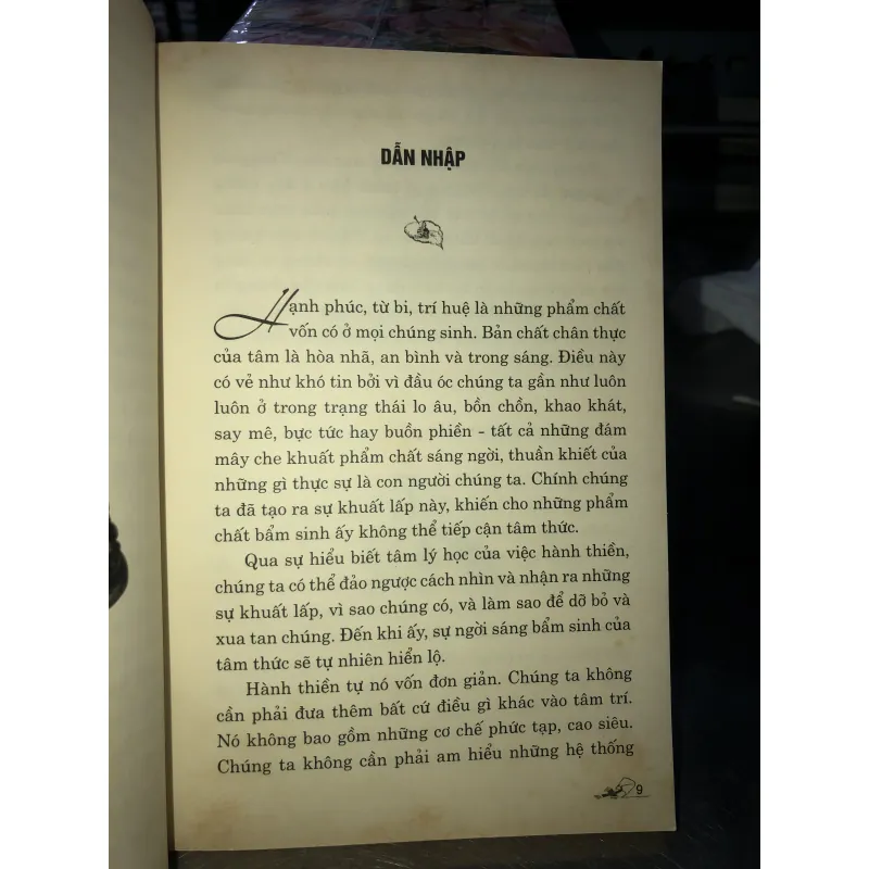 Tâm kim cương - Tâm lý học của việc hành thiền - Rob Nairn 781566