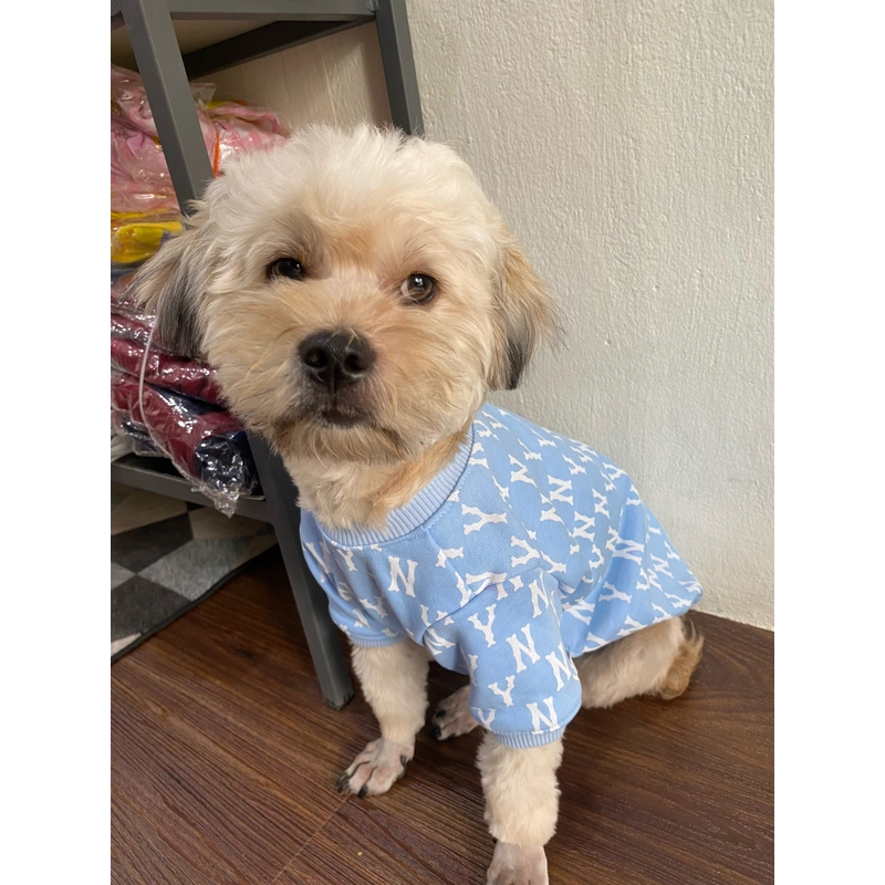 Áo Ny cho thú cưng 518376