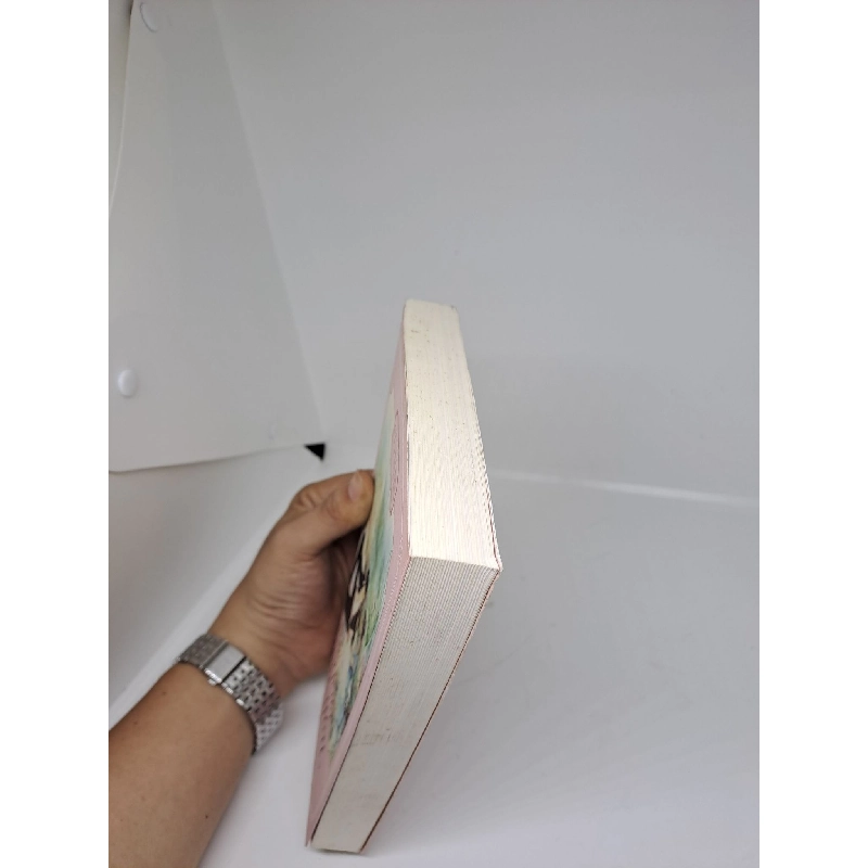 Bữa trưa tình yêu TB Cố Mạn 2017 mới 80% ố HCM1909 912320