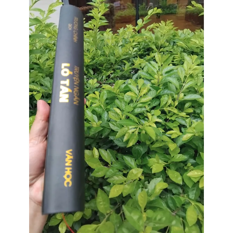 Truyện ngắn Lỗ Tấn  994783