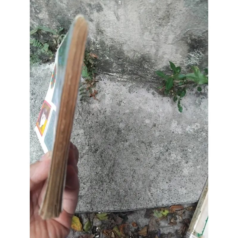 Quang Dũng người và thơ ( bản in đầu ) 1023975