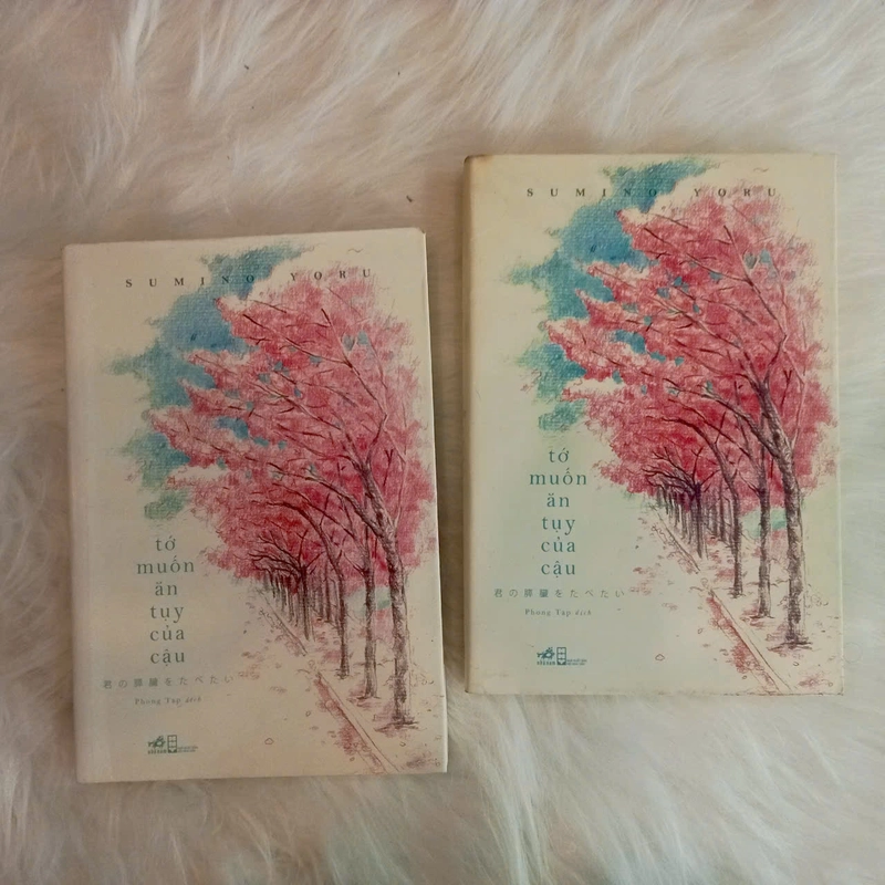 Tớ Muốn Ăn Tụy Của Cậu - Yoru Sumino 505196