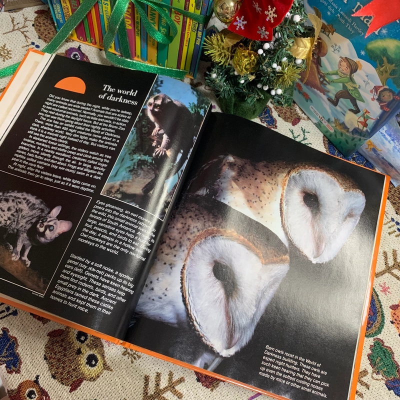 Sách tranh tiếng anh Zoos Without Cages (World Explorers Series 2), Used, Bìa cứng 335309
