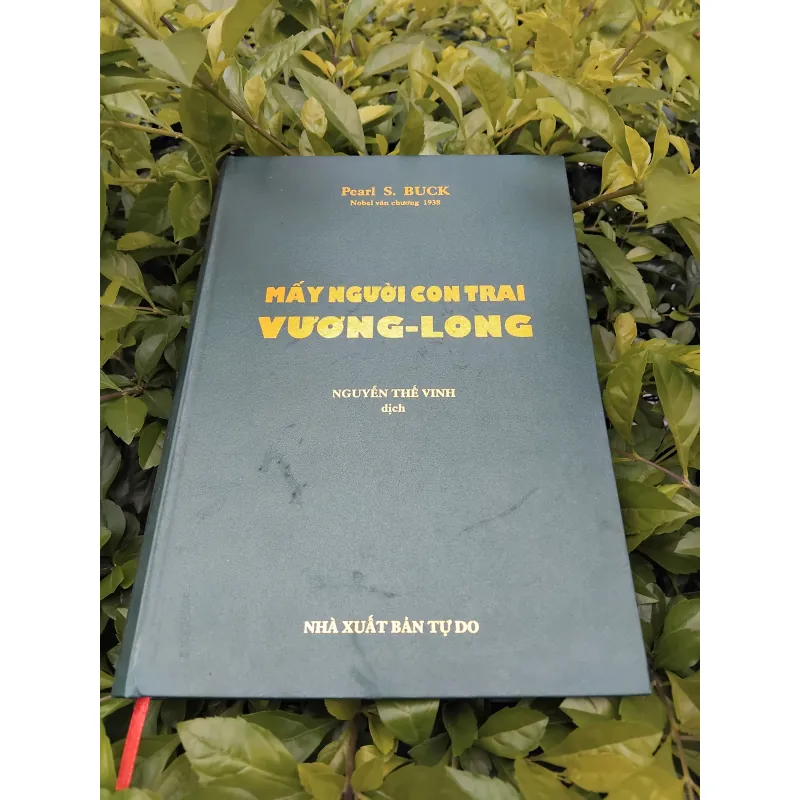 Mấy người con trai Vương Ling của Pearl Puck 970860