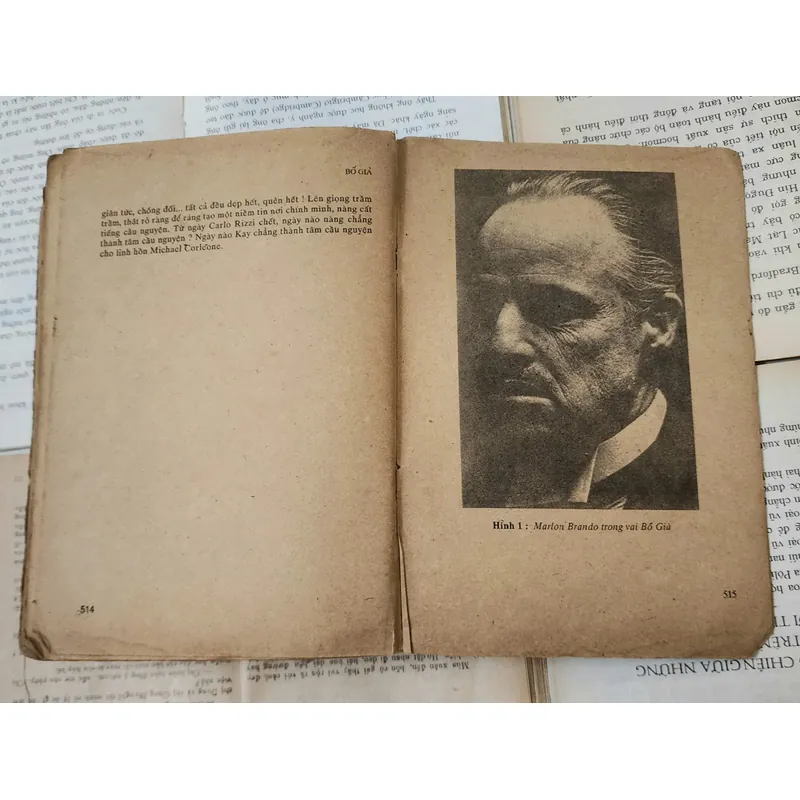 Tác phẩm văn học kinh điển của Mario Puzo: BỐ GIÀ 716941