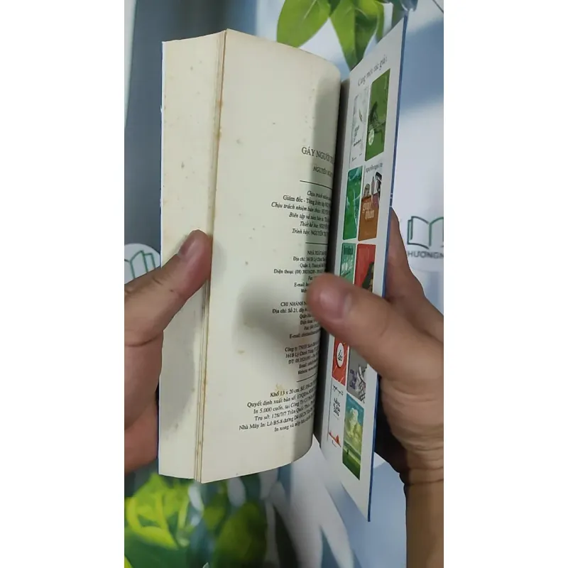 Gáy Người Thì Lạnh - Nguyễn Ngọc Tư 798453