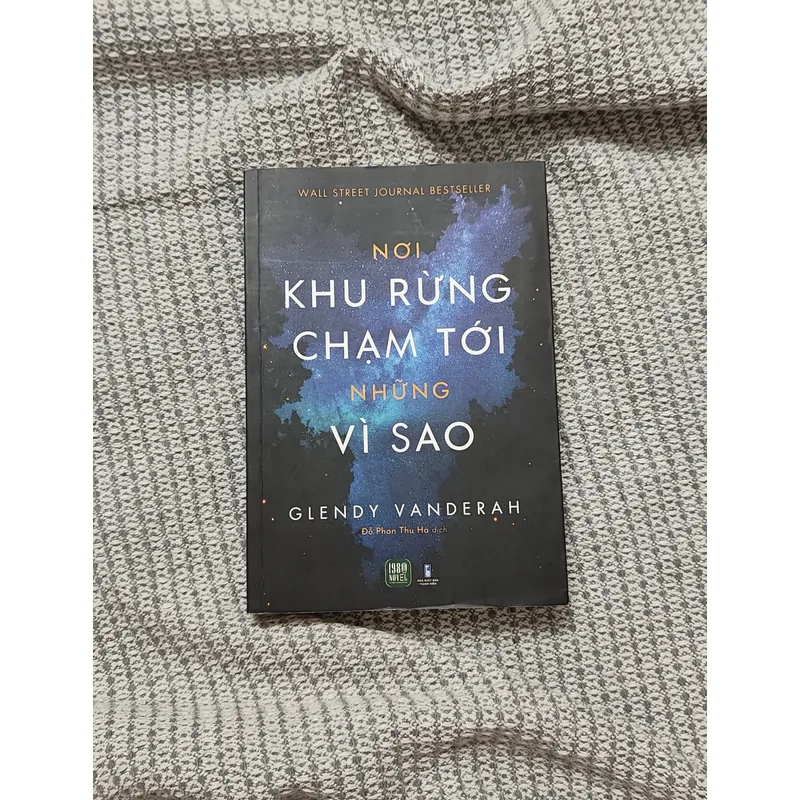 Nơi khu rừng chạm tới những vì sao 736303