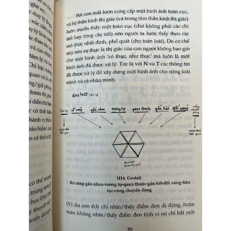 Nhìn - thấy - yêu - hiểu - Nguyễn Quân 998303