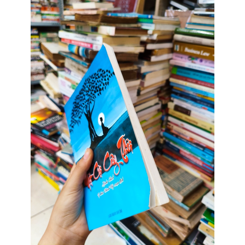 Chỉ là một cội cây thôi 🌱 509972