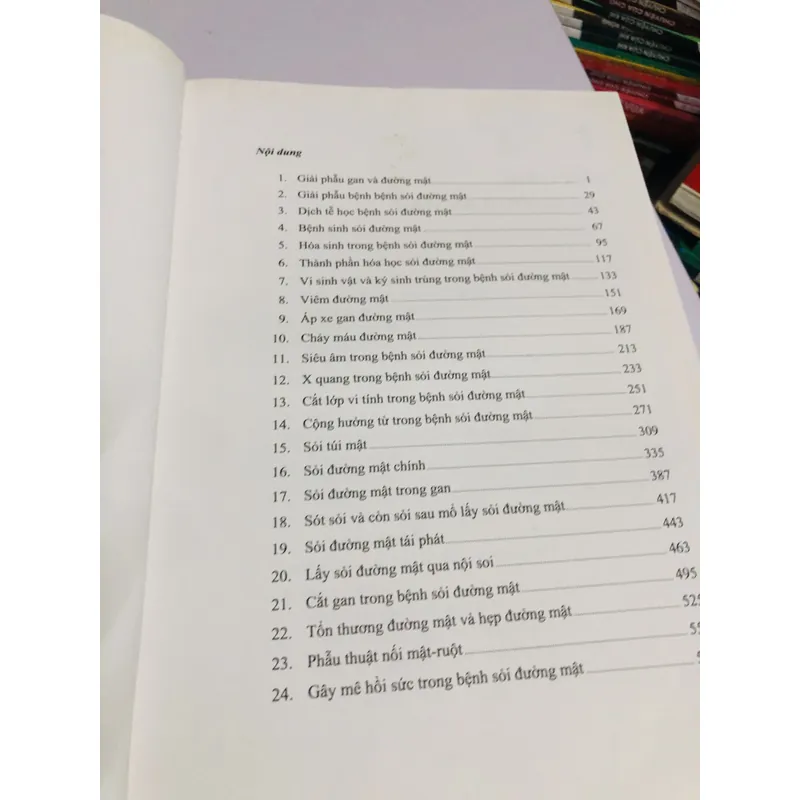 📘 SỎI ĐƯỜNG MẬT – Nguyễn Đình Hối & Nguyễn Mậu Anh 700887