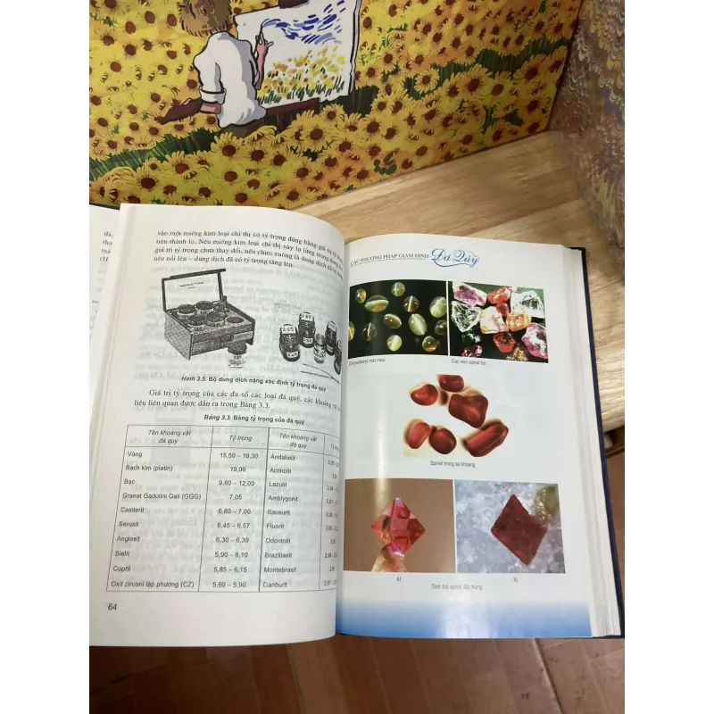 Các Phương Pháp Giám Định Đá Quý - Nguyễn Ngọc Khôi 933894