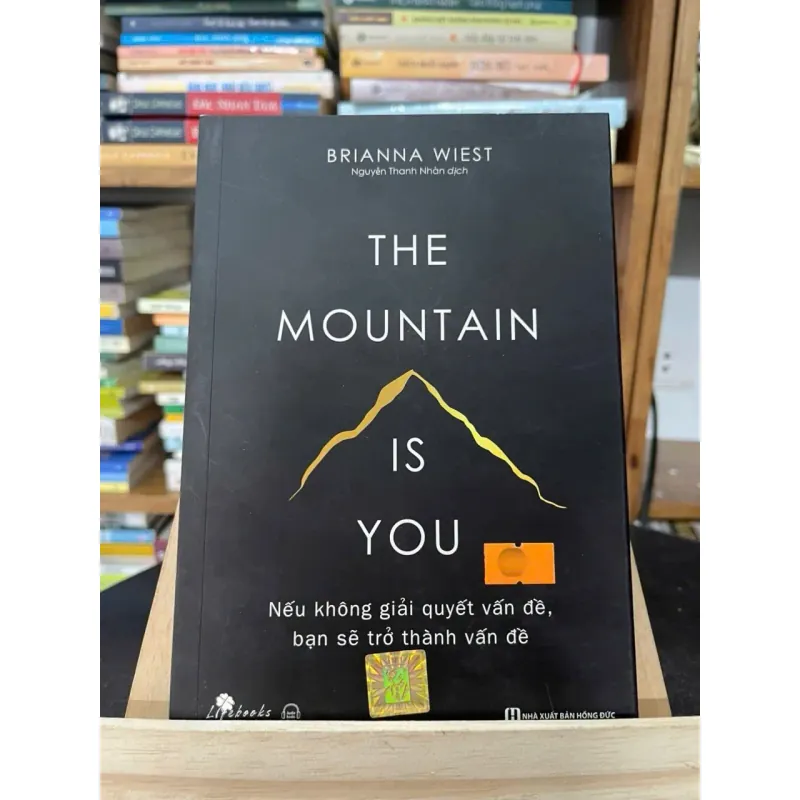 The Mountain Is You (Nếu không giải quyết vấn đề, bạn sẽ trở thành vấn đề) — Brianna Wiest 788517
