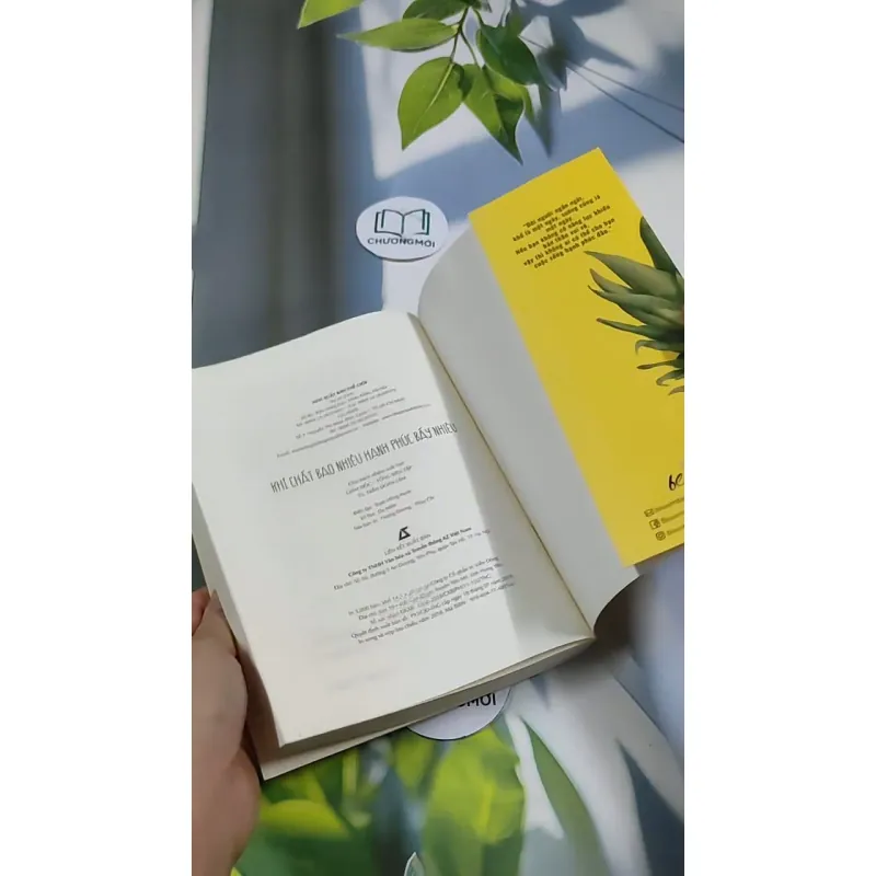 Khí Chất Bao Nhiêu, Hạnh Phúc Bấy Nhiêu 705718