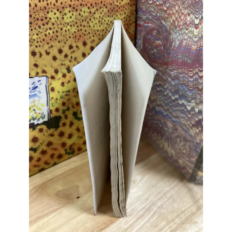 Đổi Mới Nghệ Thuật Tiểu Thuyết Phương Tây Hiện Đại - Đặng Anh Đào 1008599