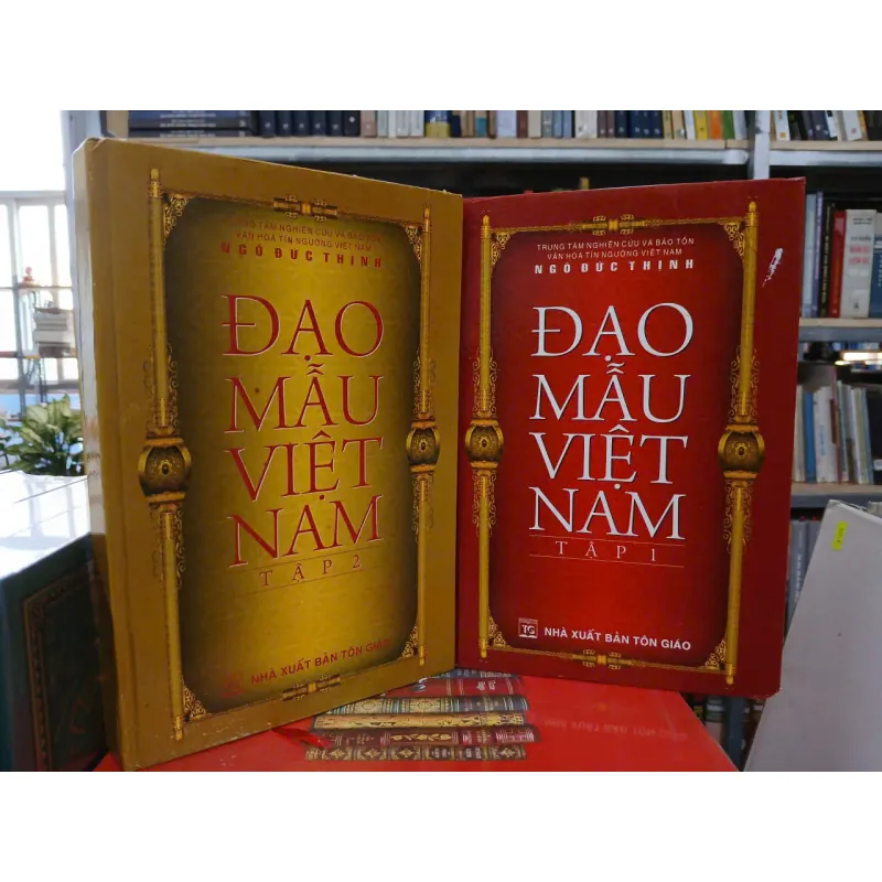 ĐẠO MẪU VIỆT NAM (TRỌN BỘ 2 TẬP BÌA CỨNG) - NGÔ ĐỨC THỊNH 976807
