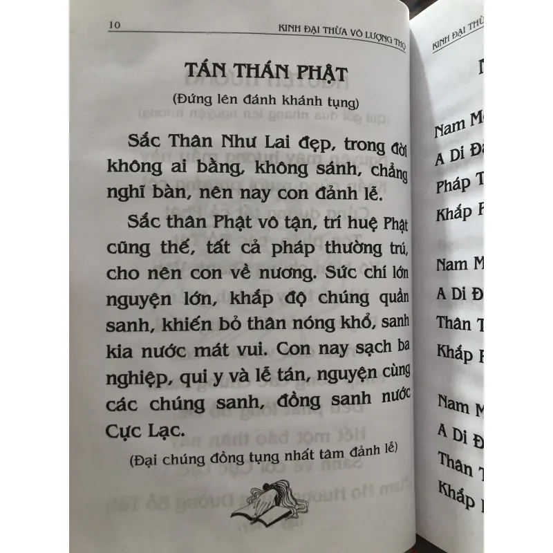 Phật thuyết đại thừa vô lượng thọ trang nghiêm thanh tịnh bình đẳng giác kinh  1009767