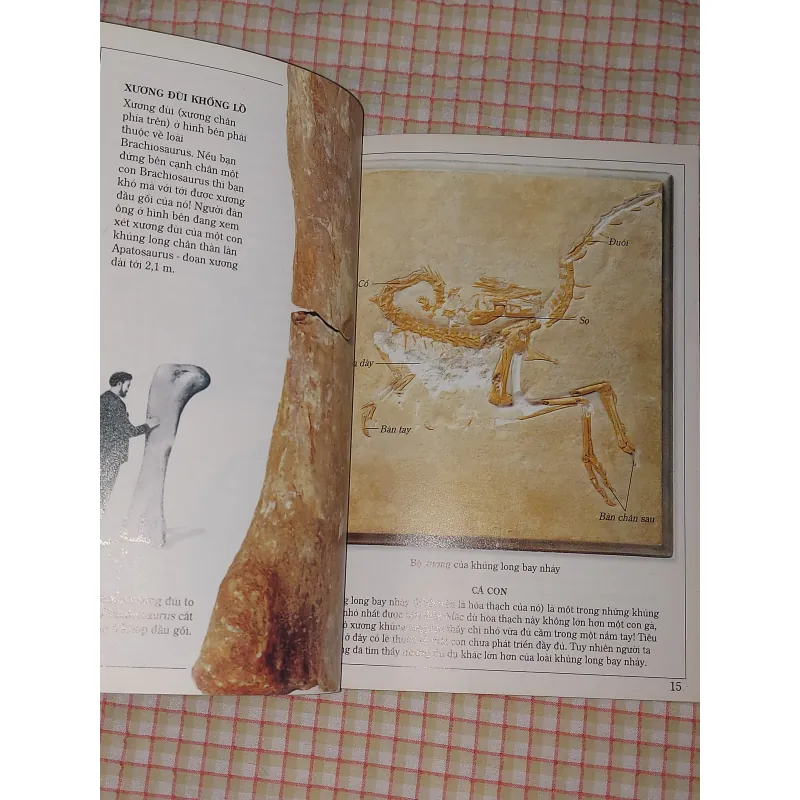 4 CUỐN TỦ SÁCH KIẾN THỨC THẾ HỆ MỚI (BÌA MỀM) 713352