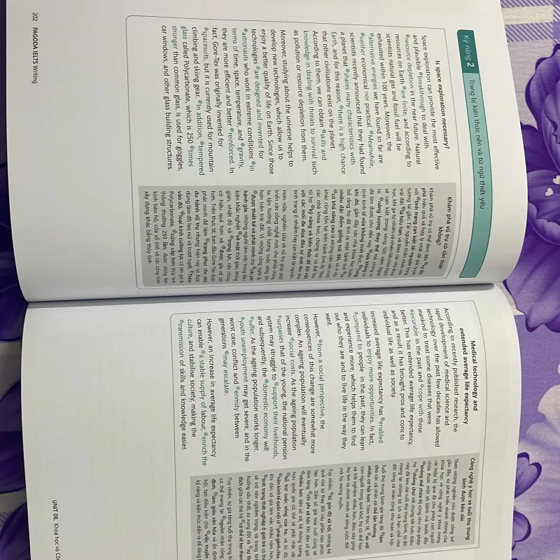 Pagoda IELTS Writing 936304