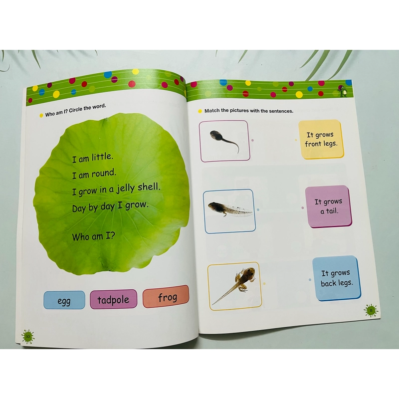 Set sách Ready, Set, Create & Cook 552694