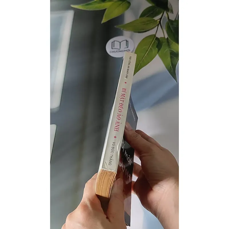 Bí Mật Đèo Ảo Ảnh (1996) - Vũ Đức Thắng 607686