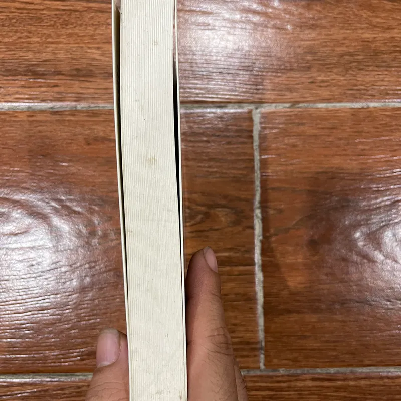 Nhà khổ hạnh và gã lang thang (k3) 564237