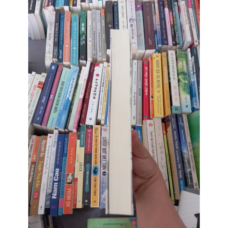 Đồn điền người Pháp ở Bắc Kỳ từ 1884 đến 1918 _ Tạ Thị Thúy 973521