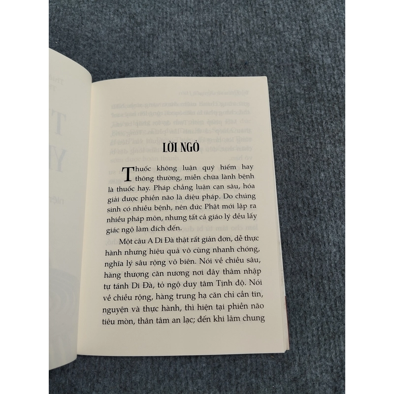 TỊNH TỪ YẾU NGỮ 494888