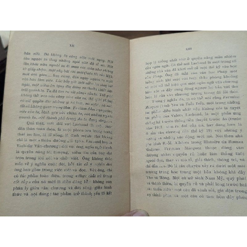 Tình yêu và tuổi trẻ - Valery larbaud ( bản dịch Huỳnh Phan Anh ) 999879