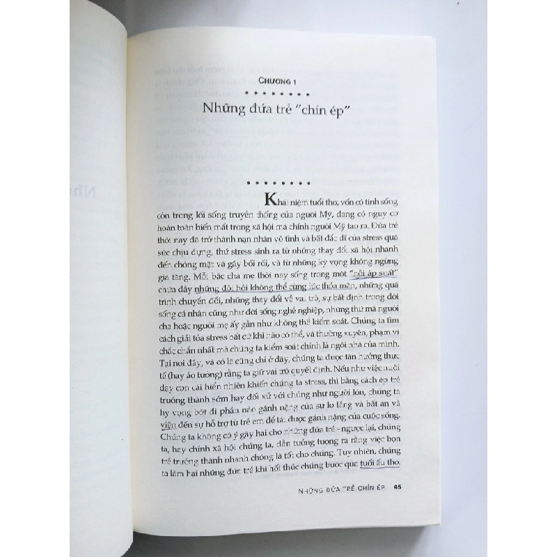 Những đứa trẻ chín ép - David Elkind 540029