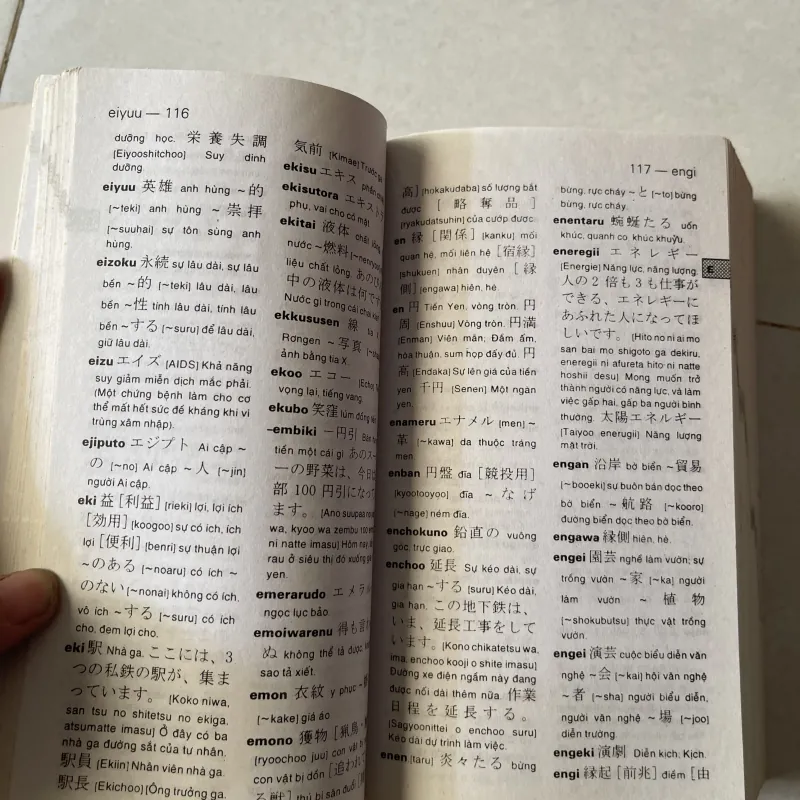 Từ Điển Nhật -Việt 775922