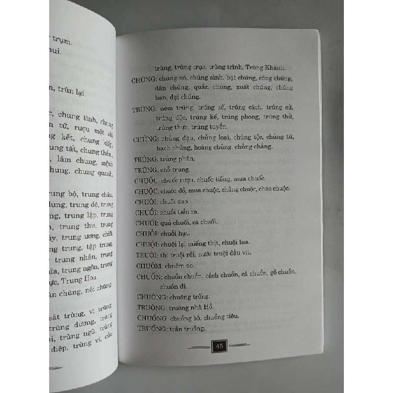 Muốn Đúng Chính Tả - G.S. Nguyễn Lân 548333