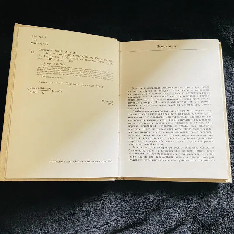 Thu thập và chế biến nấm 728091