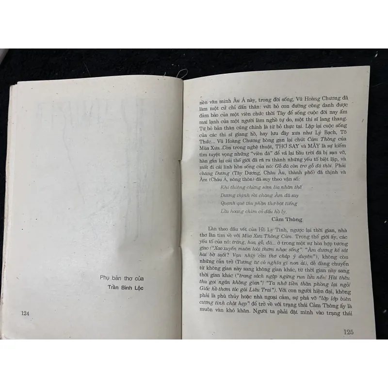 Con mắt thơ- Đỗ Lại Thúy 1009688