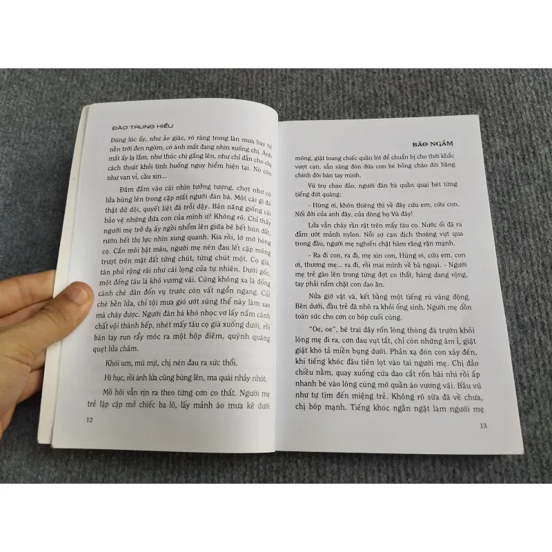 BÃO NGẦM - ĐÀO TRUNG HIẾU 568131