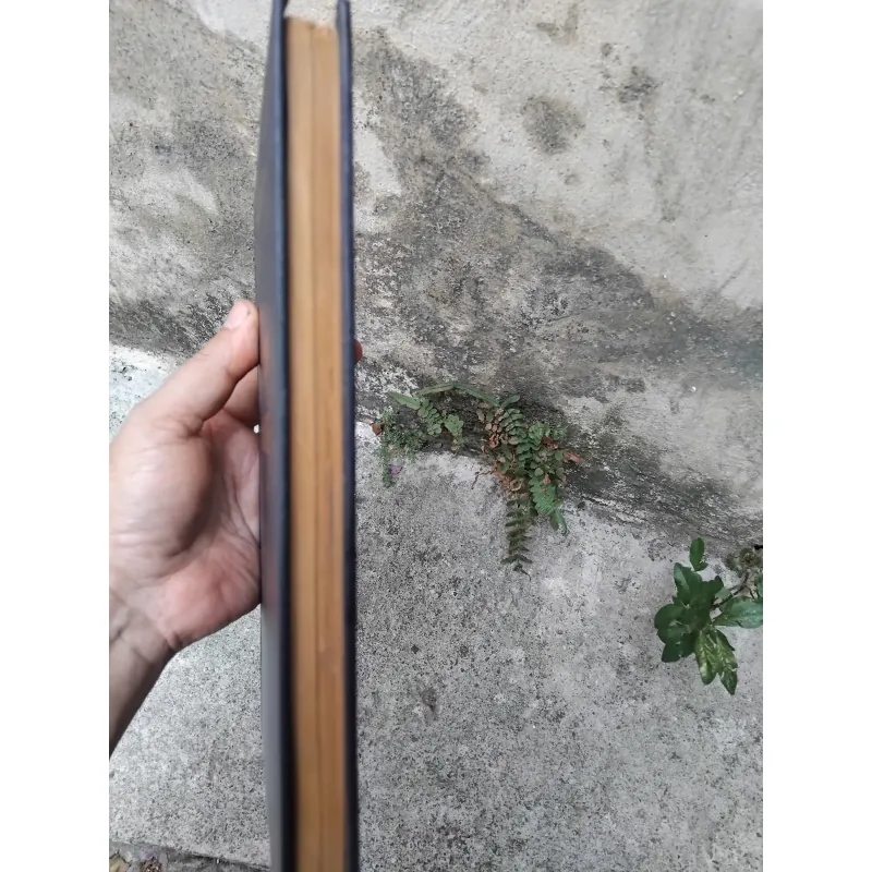 Sứ mệnh văn nghệ của Nguyễn Nam Châu 1026176