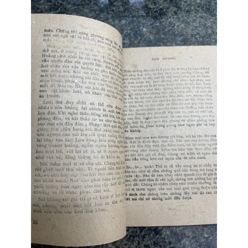 Thú rừng Tây Nguyên Thiên Lương XB 1985 760404